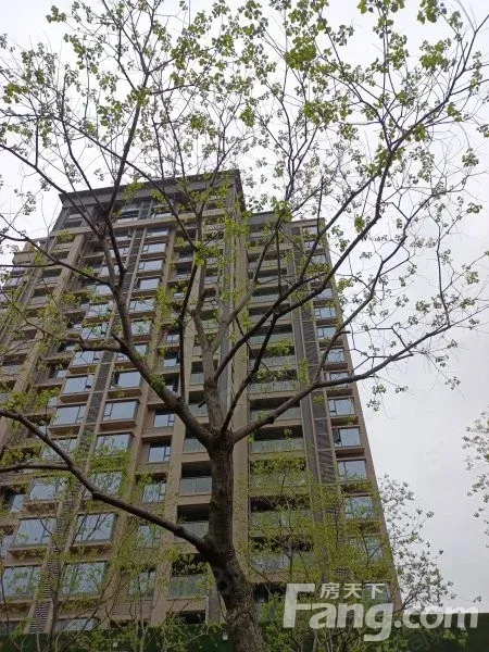 昌北开发区经开区新城悦隽时代 3室1厅 94㎡ 1500元/