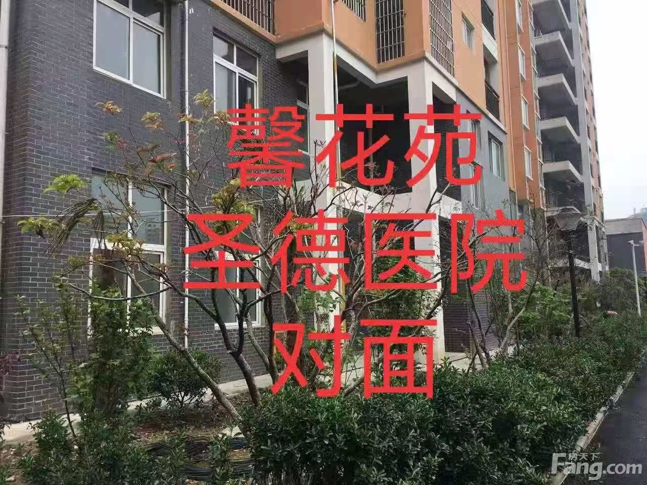 羊山新区新五大道馨花苑 3室2厅 141㎡ 2000元/月