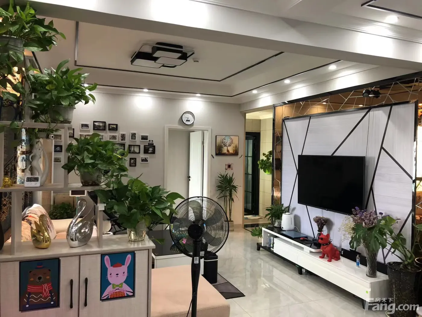 东坡金府玉龙半岛 3室2厅 110㎡ 1550元/月