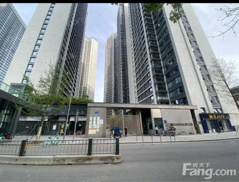 武侯火车南站保利天悦 1室1厅 58㎡ 3300元/月