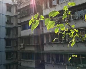 西城角巷2室2厅1卫东西朝向106.00万元出售