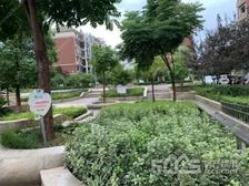 欧瑞·德尚华庭2室1厅1卫南北朝向91.00万元出售