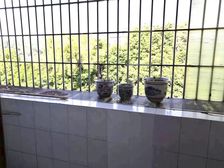 百富楼3室2厅2卫南朝向45.00万元出售