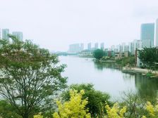 河西 半岛蓝湾天择园别墅368.46平米