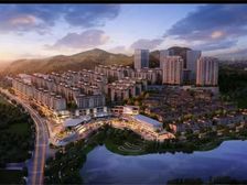 独栋洋房,一线临湖!双轻轨!商业配套完善!