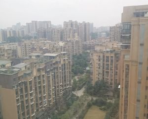 东坡 鹭湖国际四期新房,老证8栋中间楼层 3室2厅