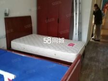 金山桃园新村二楼 1室1厅1厨1卫二间朝南42平送自建6平