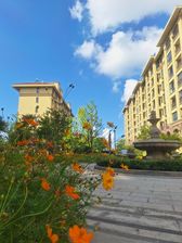 平湖 中南·漫悦湾 2室1厅 68.98㎡ 85万