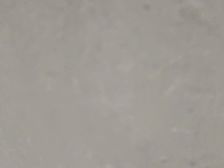 龙马潭区 龙澋山水小区 4室1厅