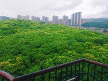 樟木头 风景山庄 2室1厅