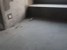 桐乡 桐乡朗诗绿洲璟院 3室2厅