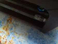 福山 万科假日润园 3室2厅