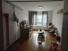 金水 国泰罗马假日 2室2厅