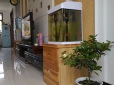 罗庄区 怡景天鹅湖 3室2厅