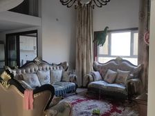 桃城 花香维也纳东区 7室2厅