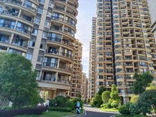 花溪 碧桂园花溪首府 1室1厅1厨1卫