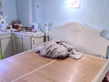 工业园区 苏安新村 2室1厅