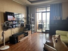 个人直售翡翠城五期 3室2厅。高楼层宽视野,有车位有学位