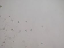 东湖 育新路住宅楼 1室0厅