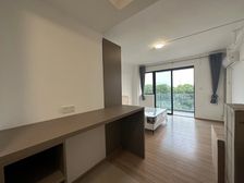 来自顺德市中心价值洼地的房子!