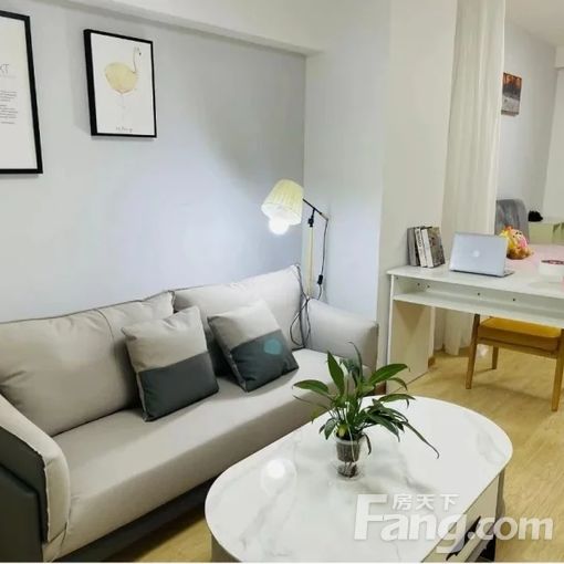 房东出租 免中介费 禹洲世贸国际55平方米 1室1厅1卫