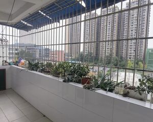 客厅、房间大,区政府旁,中间楼层,近邻超市和小学,有公园。