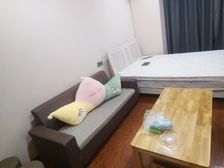 亏本抛急售鲤城 联泰明光花园城 单身公寓 1室1厅 家电齐全
