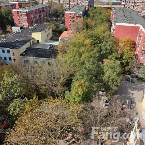 ·ą́ÑóÇű±Àï 3ÊÒ1Ìü 78.7©O 6500Ôª/ÔÂ