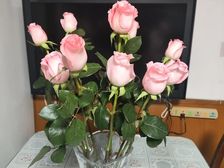 双南大两房,房型正气,南北通透,采光绝佳,河景房,固定车位