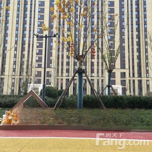 丰台卢沟桥金曦阳光 3室1厅 120㎡ 1500元/月
