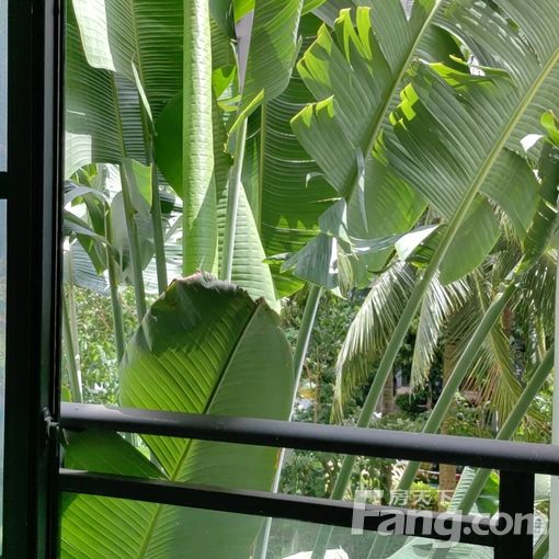 临高澜江新城区临高琉金岁月 2室1厅 80㎡ 1800元/月