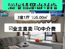 渝北大竹林105平三居室 龙湖江与城通透户型