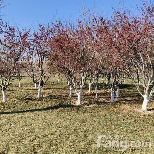 新华区火车站石化新村 4室2厅 130㎡ 850元/月