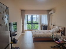 南湖翠苑 1室1厅出售 茶花公园南湖公园在楼下