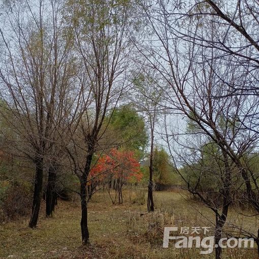 路北火车站新天地美域十五区 2室1厅 85㎡ 1000元/月