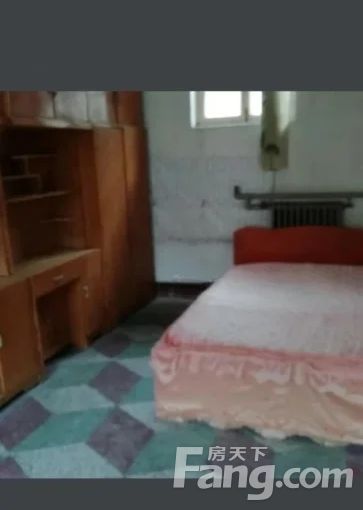 新华区火车站志强路小树林街平房 3室1厅 100㎡ 450元