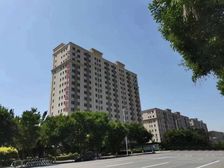 鹿泉科技园270平全新办公空间 单价5200即买即用