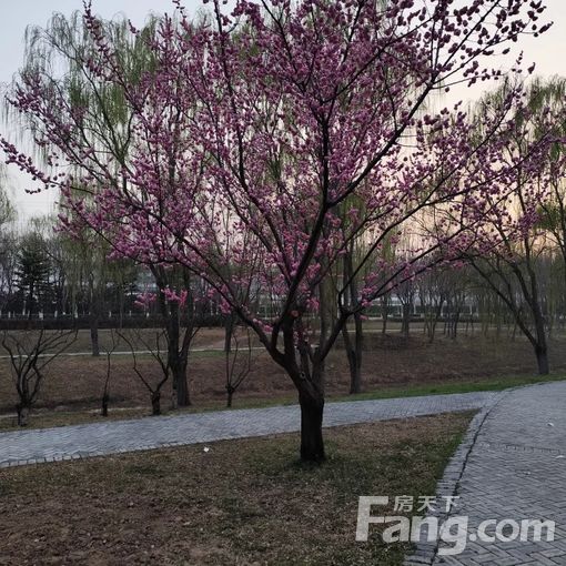 路北火车站新天地美域85平方米 2室2厅1卫