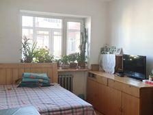 道里 乡政街179号 1室0厅