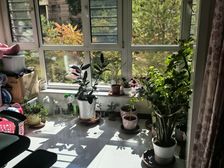 城西区 三榆山水文园 2室1厅