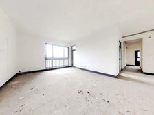 协信阿卡迪亚君临天下大平层带车位出售企鹅号11925092