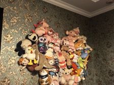 南岸 海棠晓月C区南滨城 3室2厅