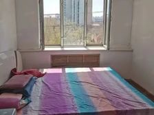 道外 道外区~北树小区 1室1厅 37.85㎡ 21万