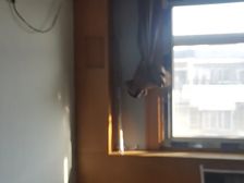 河东 汇贤里 3室2厅 115.54㎡ 145万