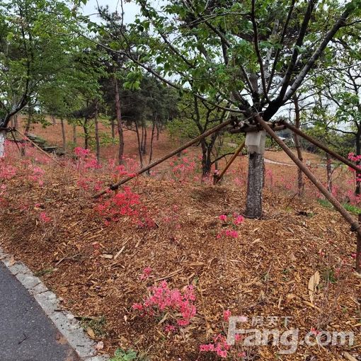 合租:主卧路北火车站新天地美域十五区 2室1厅 85㎡ 60