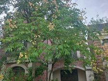 屯溪区 雨润·金桂园 3室2厅3卫 163.00㎡ 195万