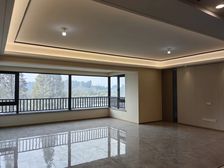 天府新区锦江生态带 建发中央湾区 4室2厅次新房出售