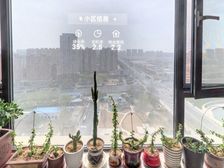 高新 柒星国际 3室2厅 146.00㎡ 140万