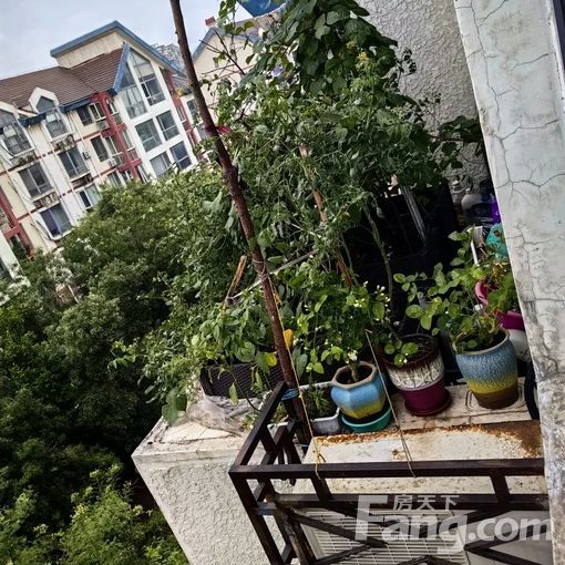 大兴旧宫美利新世界 3室0厅 147㎡ 6500元/月