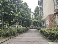 龙马潭区 芳草地 3室2厅 106.20㎡ 56万